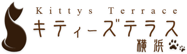 キティーズテラス 横浜店 電話番号：080-9861-9419 営業時間：12:00～翌3:00