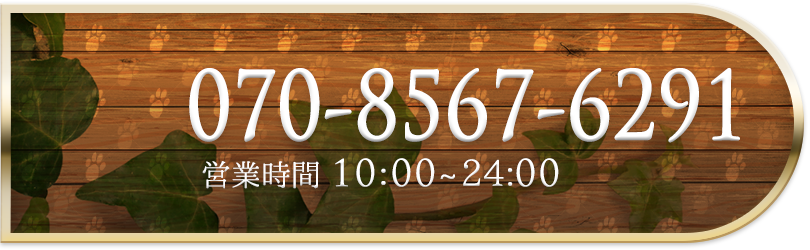キティーズテラス 横浜店 電話番号：070-8567-6291 営業時間：10:00～24:00